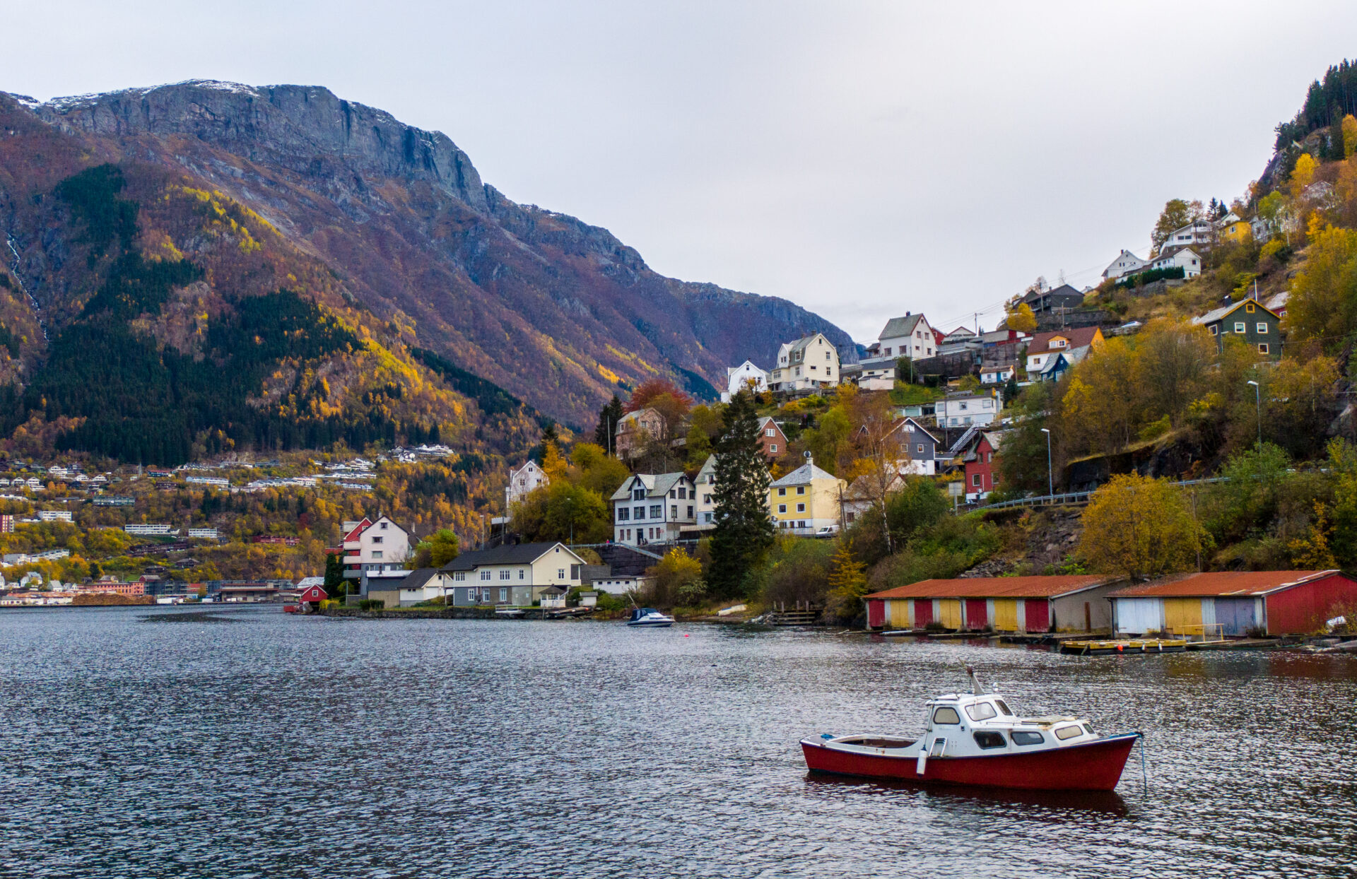 Odda 4